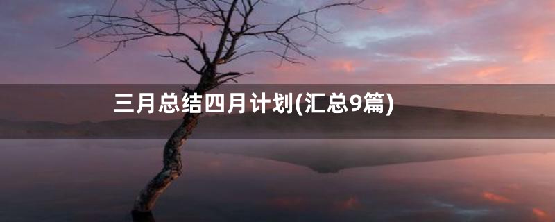 三月总结四月计划(汇总9篇)