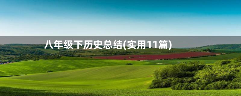 八年级下历史总结(实用11篇)