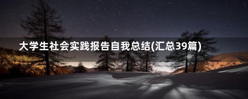 大学生社会实践报告自我总结(汇总39篇)