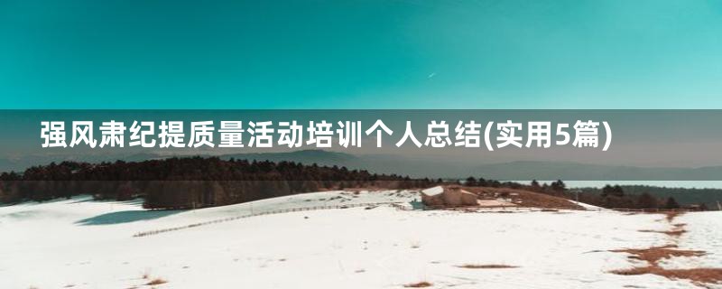 强风肃纪提质量活动培训个人总结(实用5篇)