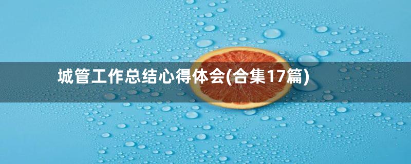城管工作总结心得体会(合集17篇)