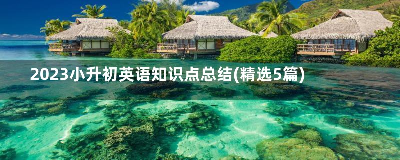 2023小升初英语知识点总结(精选5篇)
