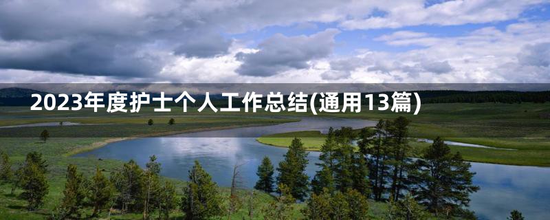 2023年度护士个人工作总结(通用13篇)