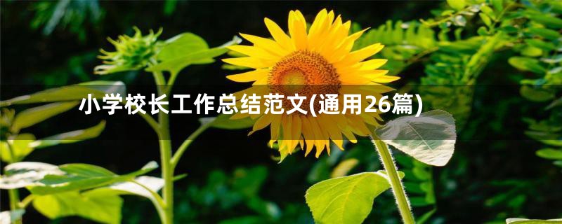 小学校长工作总结范文(通用26篇)