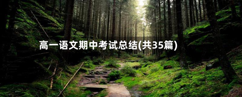 高一语文期中考试总结(共35篇)