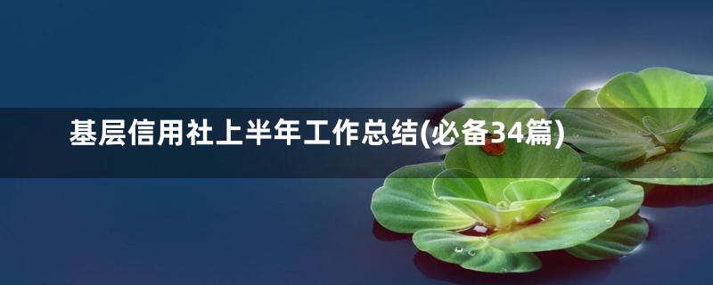 基层信用社上半年工作总结(必备34篇)