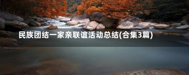 民族团结一家亲联谊活动总结(合集3篇)