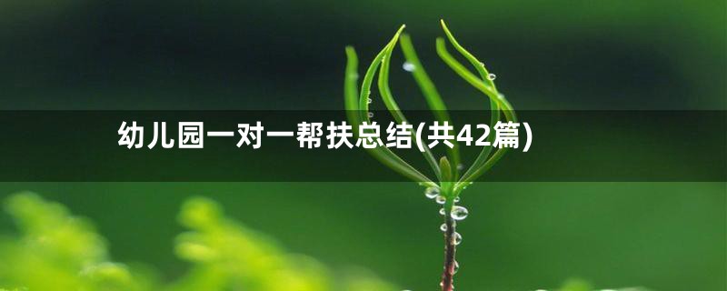 幼儿园一对一帮扶总结(共42篇)