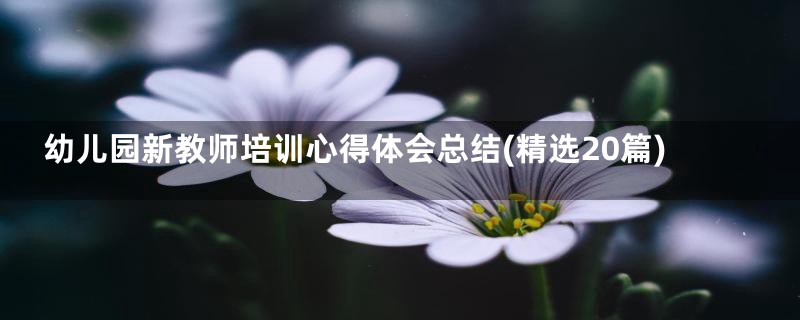 幼儿园新教师培训心得体会总结(精选20篇)