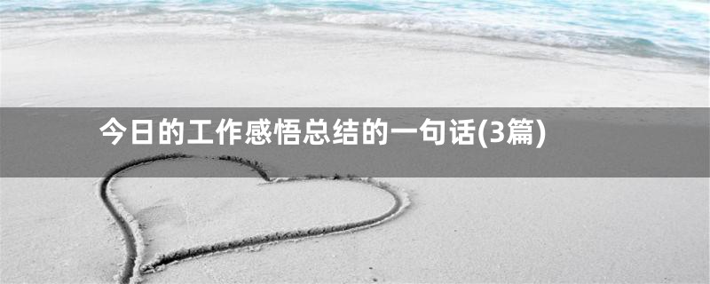 今日的工作感悟总结的一句话(3篇)