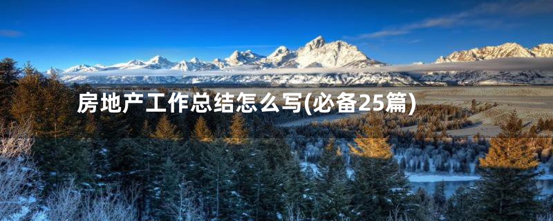房地产工作总结怎么写(必备25篇)
