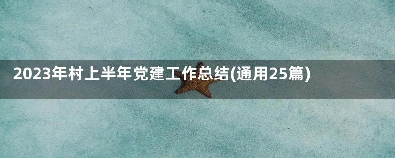 2023年村上半年党建工作总结(通用25篇)