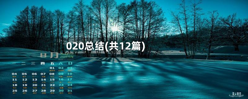 020总结(共12篇)
