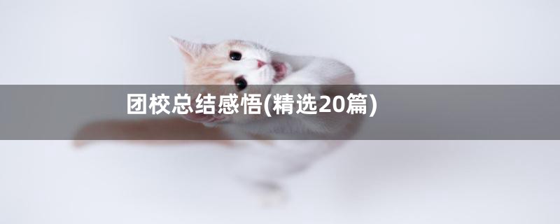团校总结感悟(精选20篇)