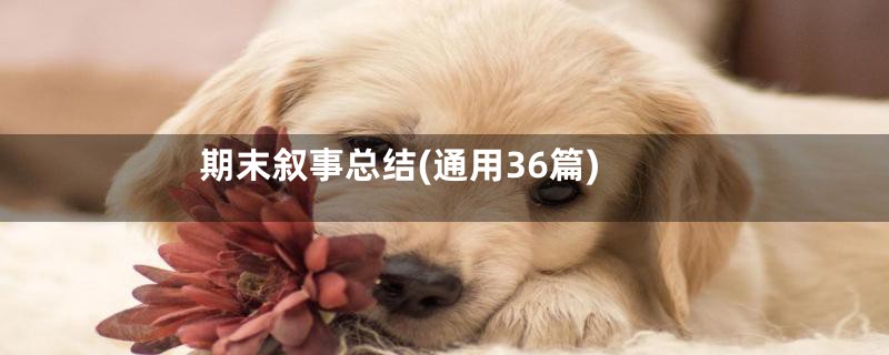 期末叙事总结(通用36篇)