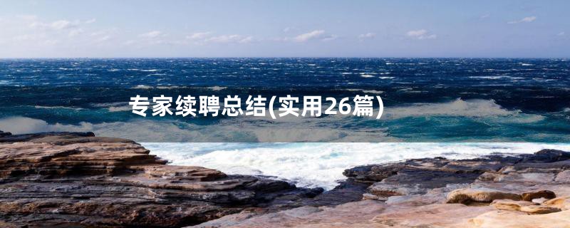 专家续聘总结(实用26篇)
