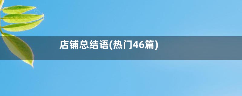 店铺总结语(热门46篇)