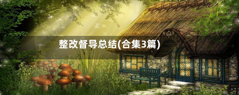 整改督导总结(合集3篇)