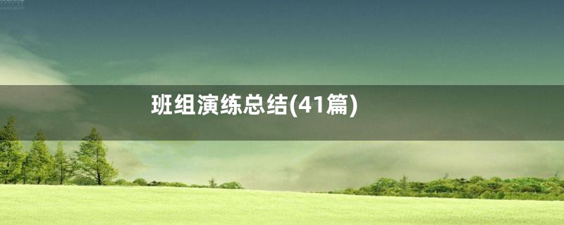 班组演练总结(41篇)