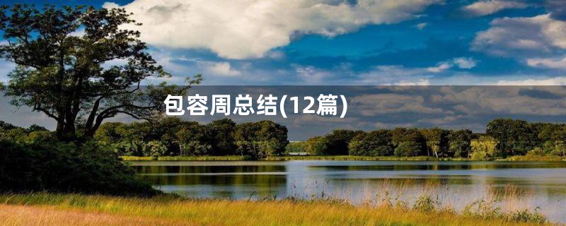 包容周总结(12篇)