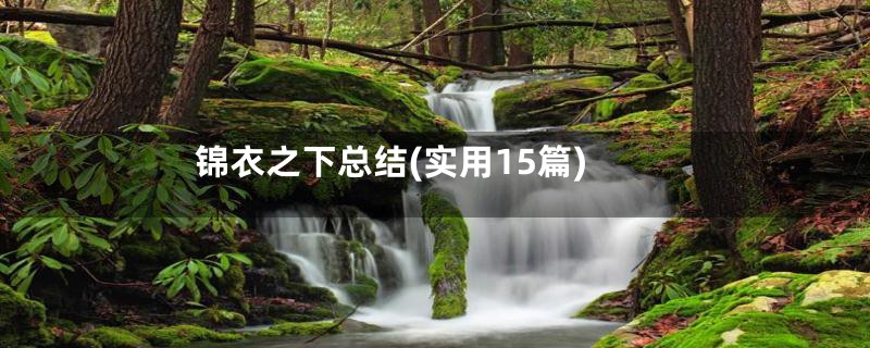 锦衣之下总结(实用15篇)