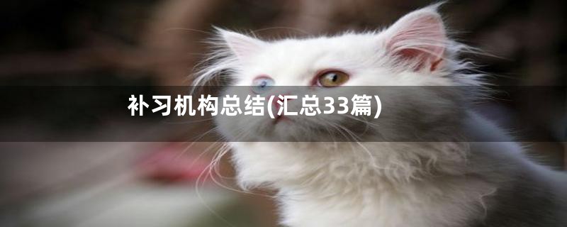 补习机构总结(汇总33篇)