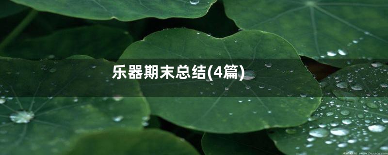 乐器期末总结(4篇)