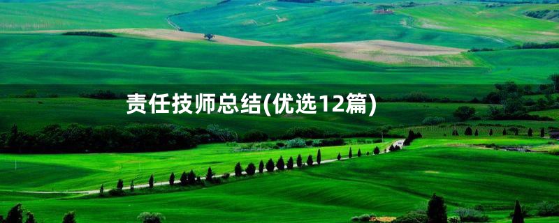 责任技师总结(优选12篇)