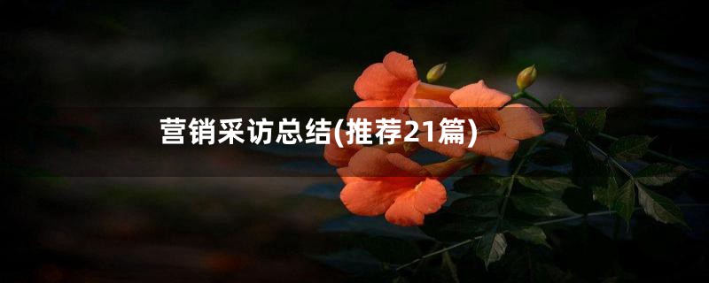 营销采访总结(推荐21篇)
