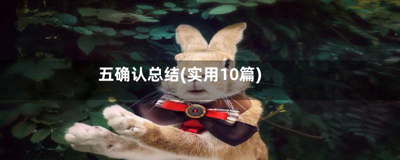 五确认总结(实用10篇)