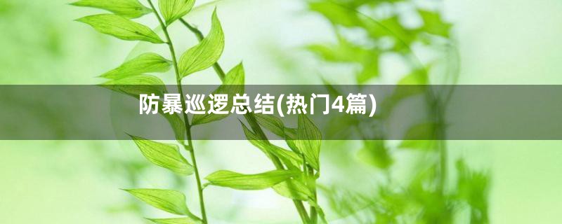 防暴巡逻总结(热门4篇)