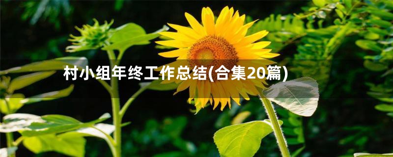 村小组年终工作总结(合集20篇)
