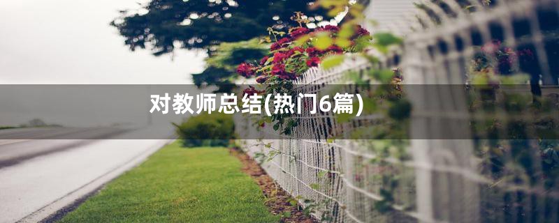 对教师总结(热门6篇)
