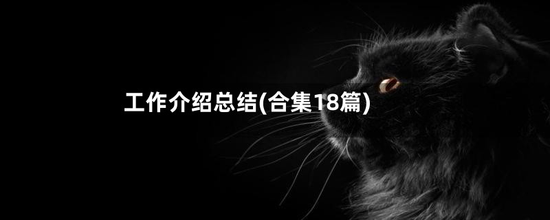 工作介绍总结(合集18篇)
