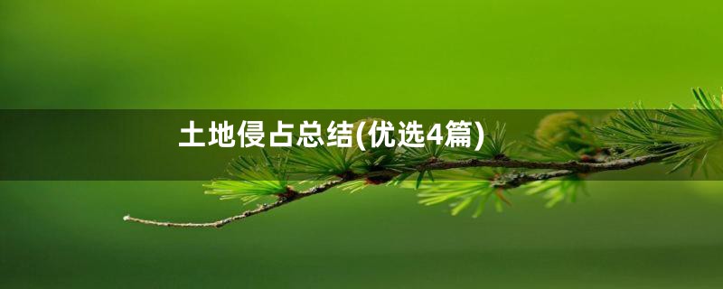 土地侵占总结(优选4篇)