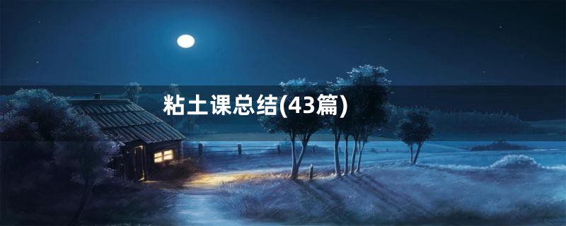 粘土课总结(43篇)
