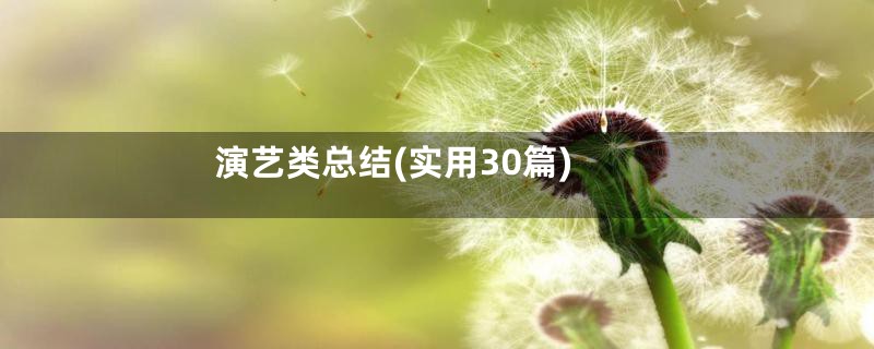 演艺类总结(实用30篇)
