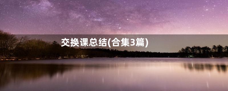 交换课总结(合集3篇)