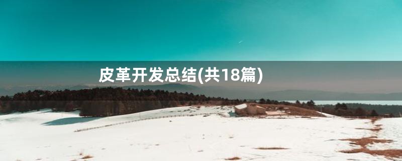 皮革开发总结(共18篇)