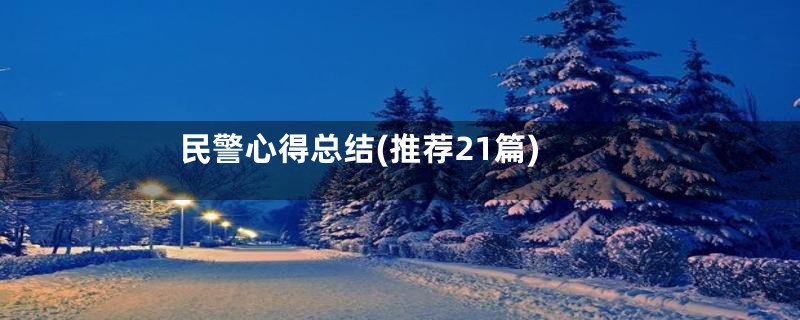 民警心得总结(推荐21篇)