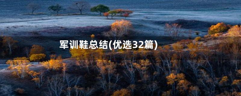 军训鞋总结(优选32篇)