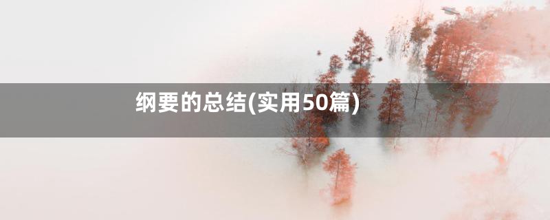 纲要的总结(实用50篇)