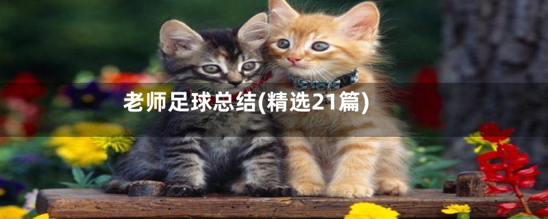 老师足球总结(精选21篇)