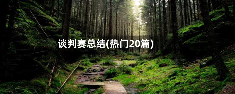 谈判赛总结(热门20篇)