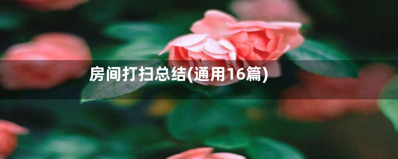 房间打扫总结(通用16篇)