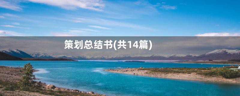 策划总结书(共14篇)