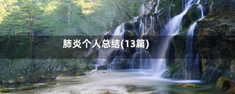 肺炎个人总结(13篇)
