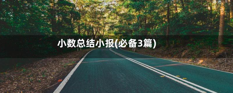 小数总结小报(必备3篇)