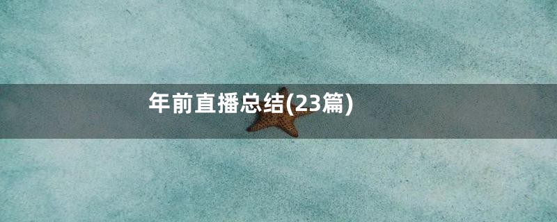 年前直播总结(23篇)