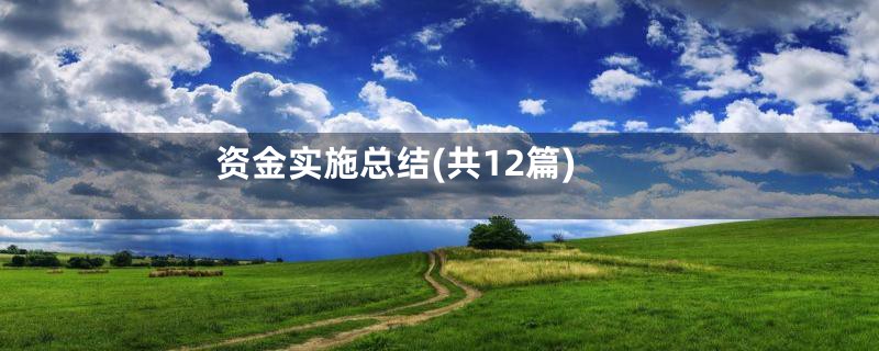 资金实施总结(共12篇)